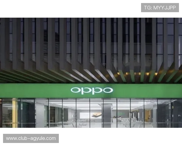 AG国际手机网址官方入口推荐，确保每位玩家都能顺利进入游戏世界